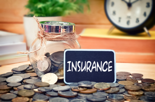 The Municipal Bond Insurance Industry A Chronology